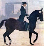 ���� �������