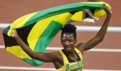 ������ ������