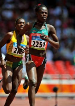 ������ �������