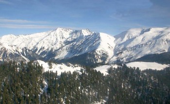 ���������� �������� ������