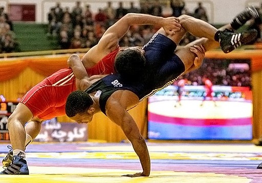 �� ���������� ���� 2009