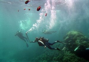 ����� �����-������ � ����������� ������� � ������ �������� ���������� ����